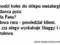 Mysta lowa lowa