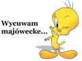 Wycuwam majówecke
