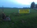 Stawiają na nogi