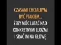Bardzo d