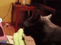 Mniej mnie w swojej opiece