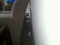 3Cats