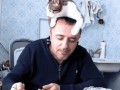 Kot najbardziej