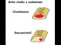 Nadzienie