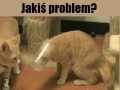 Jakiś problem