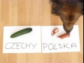 On już wie