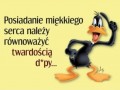 Bilans musi wyjść na zero