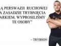 Trybsą