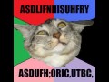 Insane cat