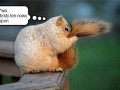 Szampon 1