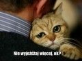 Nie wyjeżdżaj