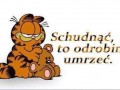 Schudnąć