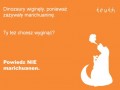Dinozaury wyginęły