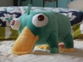 Pepee
