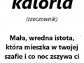 Kaloria gt