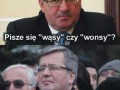 Problem z wonsami