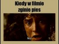 Kiedy w filmie zginie pies