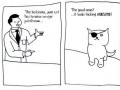 Awesomecat