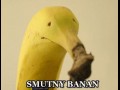 Smutny banan