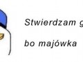 Stwierdzam grilla