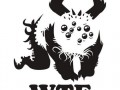 Najsłodsza panda