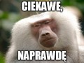 Ciekawe naprawdę
