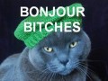 Bonjour bitches