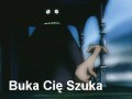 Buka cię szuka