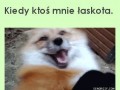 Tylko nje tooooo