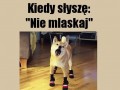 Nie mlaskaj