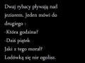 Mojemu koledze radkowi d