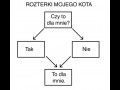 Rozterki kota