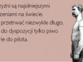 Niczym szczury