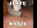 Jestę węszę
