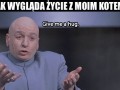 Jak wygląda moje życie z kotem