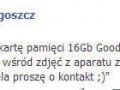 Zguba