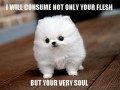 Yoursoul