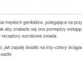 Oczy ważki d