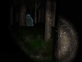 Slender buka
