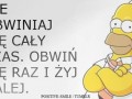Nie obwiniaj 