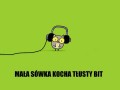 Mała sówka