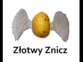 Złotwy znicz