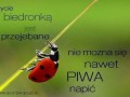 Bycie biedronką