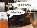 Hello d