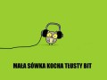 Tłusty bit