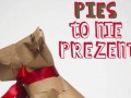 Pies to nie prezent