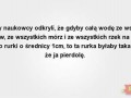 Chwała nauce
