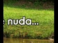 Ale nuda