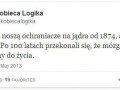 Ochraniacze