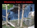 Kamil weź się uspokój